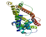 SLU7 Splicing Factor Homolog (SLU7)