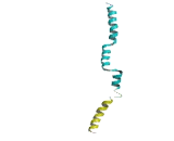 SNAP Associated Protein (SNAPAP)