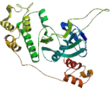 SNF Related Kinase (SNRK)