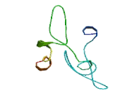 SNRPN Upstream Reading Frame (SNURF)