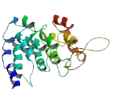 SNW Domain Containing Protein 1 (SNW1)