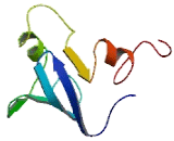 Sp140 Like Protein (SP140L)