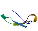 SPARC Related Modular Calcium Binding Protein 2 (SMOC2)