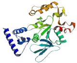 SPO11 Meiotic Protein Covalently Bound To DSB Homolog (SPO11)