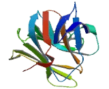 SPRY Domain Containing Protein 3 (SPRYD3)