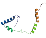 SREK1 Interacting Protein 1 (SREK1IP1)