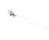 SRSF Protein Kinase 3 (SRPK3)