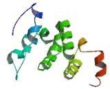 TSSK6 Activating Co-Chaperone Protein (TSACC)