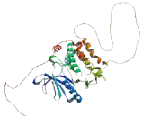 STE20 Related Kinase Adaptor Alpha (STRADa)