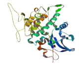 STE20 Related Kinase Adaptor Beta (STRADb)