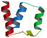 SURP And G Patch Domain Containing Protein 2 (SUGP2)