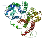 SV2 Related Protein Homolog (SVOP)