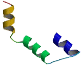 SWIM Domain Containing Srs2 Interacting Protein 1 (SWS1)