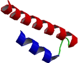 Sad-1 And Unc-84 Domain Containing Protein 2 (SUN2)