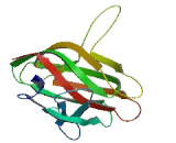 Sad-1 And Unc-84 Domain Containing Protein 3 (SUN3)