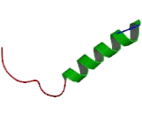 Salmon Calcitonin (SCT)