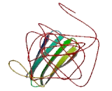 Sarcoglycan Beta (SGCb)