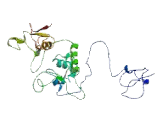 Sarcoglycan Epsilon (SGCe)