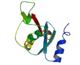 Sarcoglycan Zeta (SGCz)