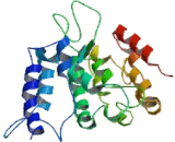 Sarcoma Antigen 1 (SAGE1)