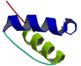 Scaffold Attachment Factor B (SAFB)