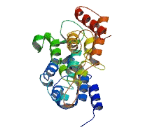 Scaffolding Protein Involved In DNA Repair (SPIDR)