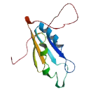 Schlafen Like Protein 1 (SLFNL1)