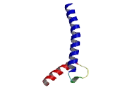 Scleraxis Homolog A (SCXA)