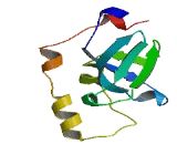 Scm Like With Four Mbt Domains Protein 1 (SFMBT1)