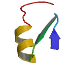 Scratch Homolog 2, Zinc Finger Protein (SCRT2)