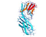 Scyllatoxin (ScTx)