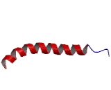 Secretin (SCT)