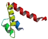 Secretoglobin Family 1C, Member 1 (SCGB1C1)