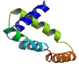 Secretoglobin Family 2A, Member 1 (SCGB2A1)