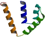 Secretoglobin Family 2A, Member 2 (SCGB2A2)