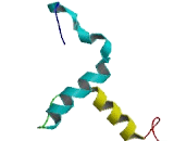 Secretoglobin Family 3A, Member 2 (SCGB3A2)