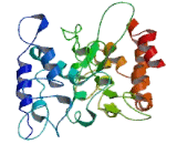 Secretory Carrier Membrane Protein 2 (SCAMP2)