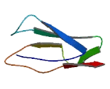 Seizure Related Gene 6 (SEZ6)