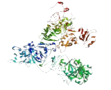 Seizure Threshold Protein 2 (SZT2)