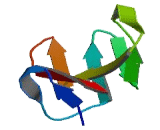 Sel1 Suppressor Of Lin 12 Like Protein (SEL1L)