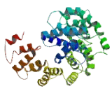 Sel1 Suppressor Of Lin 12 Like Protein 2 (SEL1L2)