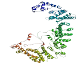 Sel1 Suppressor Of Lin 12 Like Protein 3 (SEL1L3)