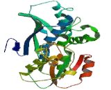 Selenophosphate Synthetase 2 (SEPHS2)