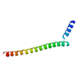 Selenoprotein S (SELS)