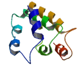 Sensor Of Single Stranded DNA Complex Subunit C (SOSSC)