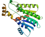 Sepiapterin Reductase (SPR)