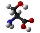 Serine (Ser)