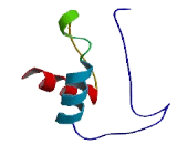 Serine Active Site Containing Protein 1 (SERAC1)