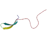 Serine/Arginine Repetitive Matrix Protein 4 (SRRM4)