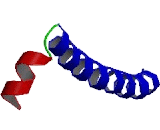 PNN Interacting Serine/Arginine Rich Protein (PNISR)